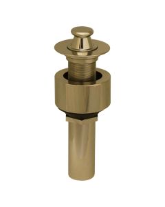 Polished Brass Whitehaus 10.615 Above Mount Lift and Turn Pull-Up Plug